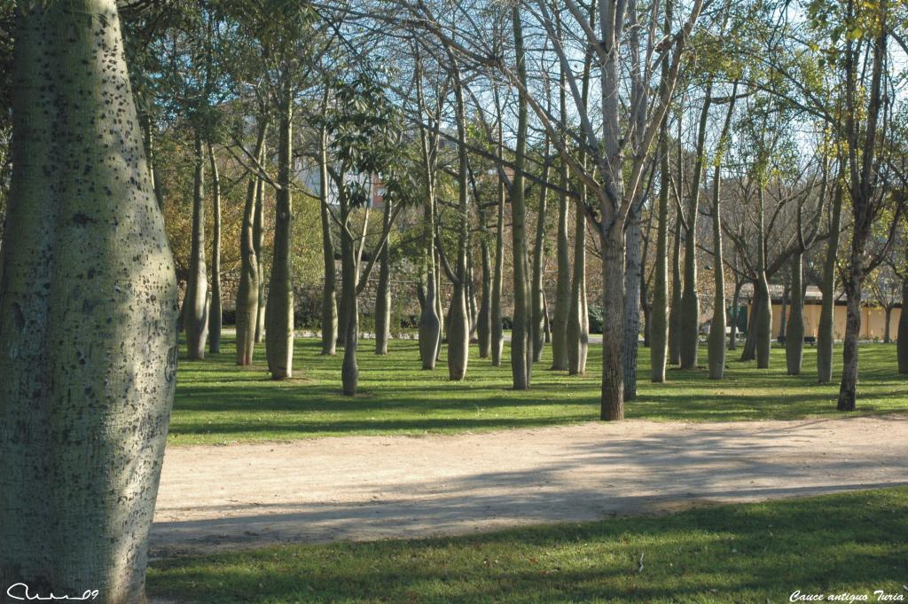Foto de Valencia (València), España