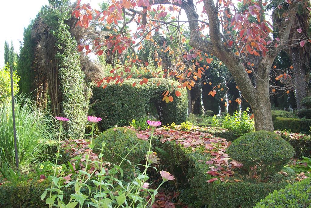 Foto de Brihuega (Guadalajara), España