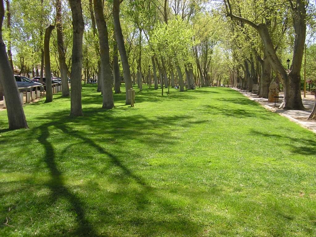 Foto de Valdepeñas (Ciudad Real), España