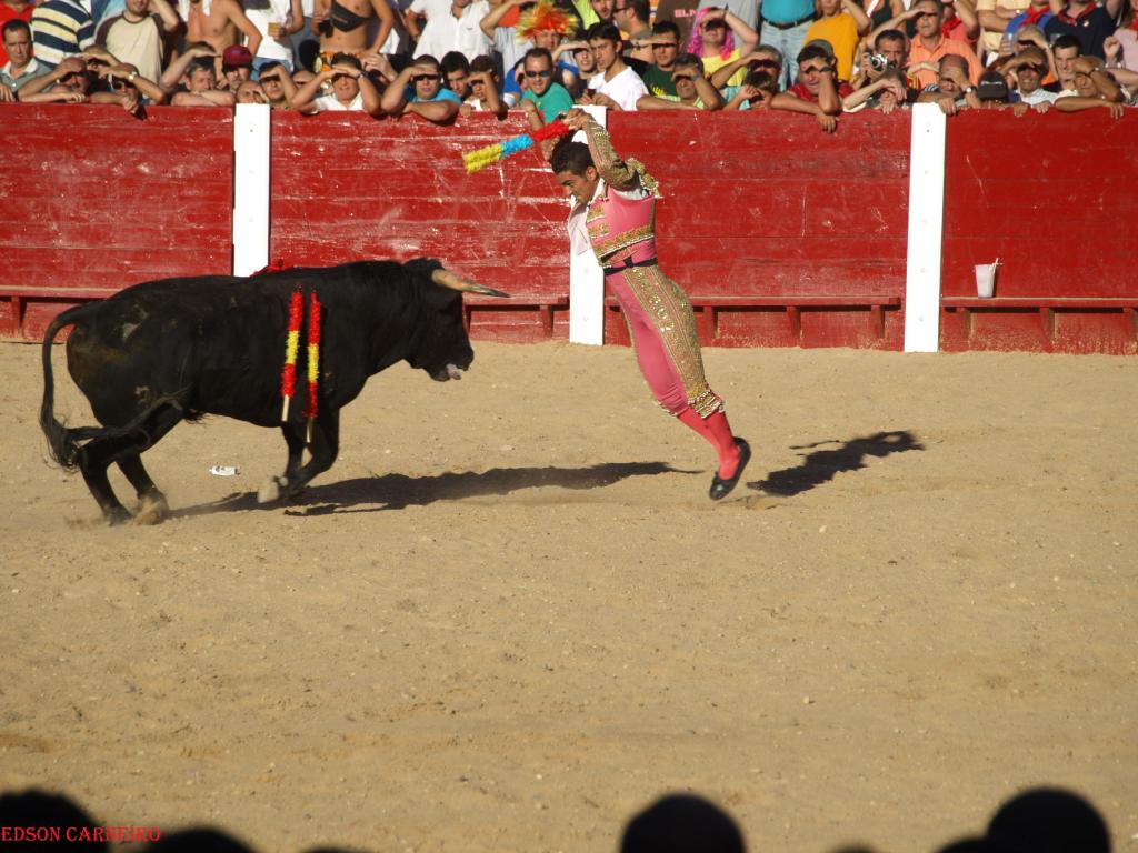 Foto de Peñafiel (Valladolid), España