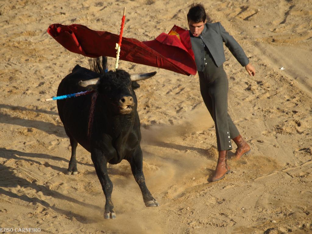 Foto de Peñafiel (Valladolid), España