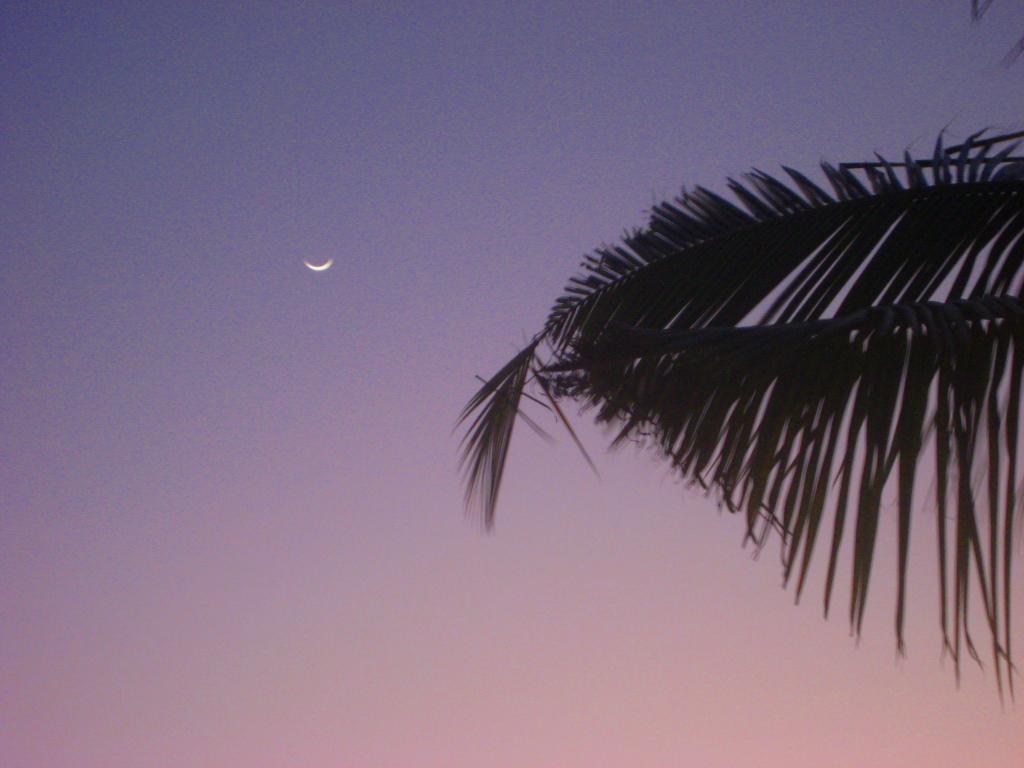 Foto de Ifaty, Madagascar