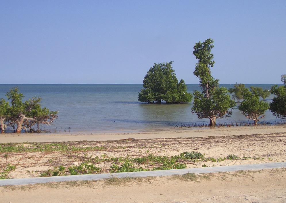 Foto de Ifaty, Madagascar