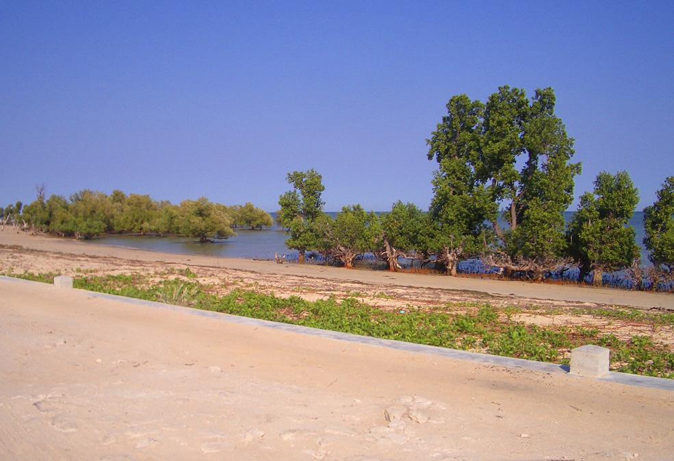 Foto de Ifaty, Madagascar