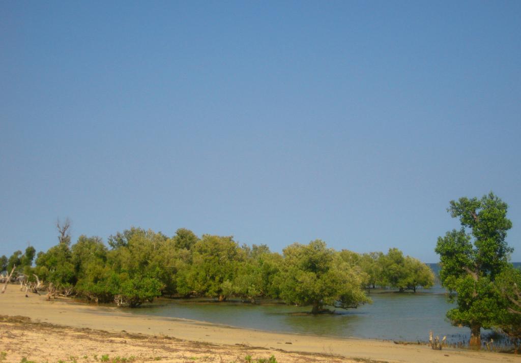 Foto de Ifaty, Madagascar