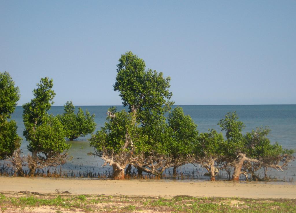 Foto de Ifaty, Madagascar