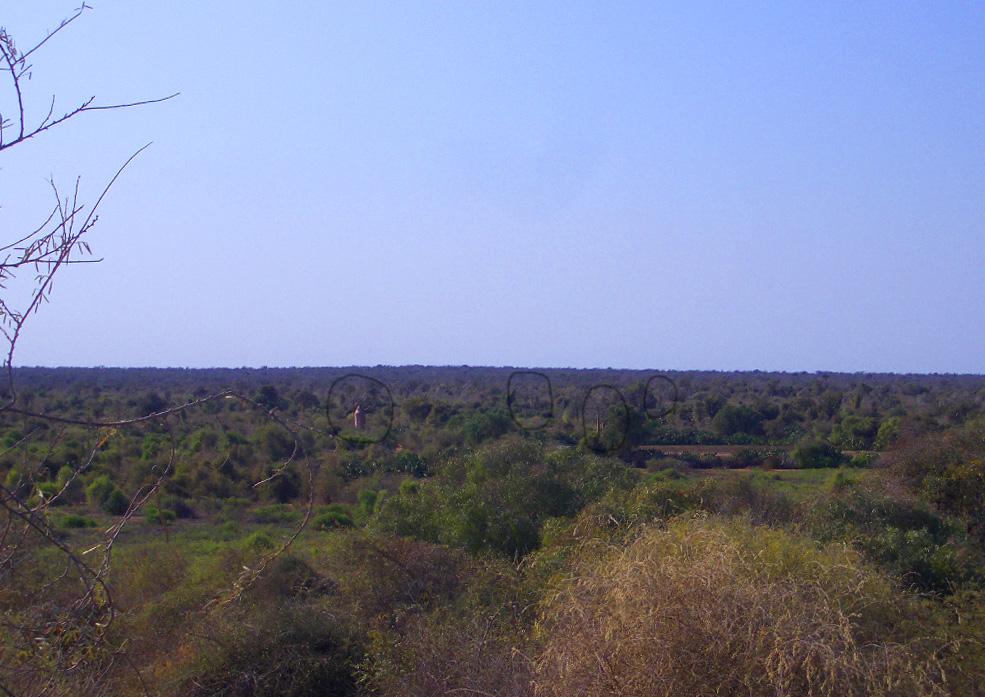 Foto de Ifaty, Madagascar