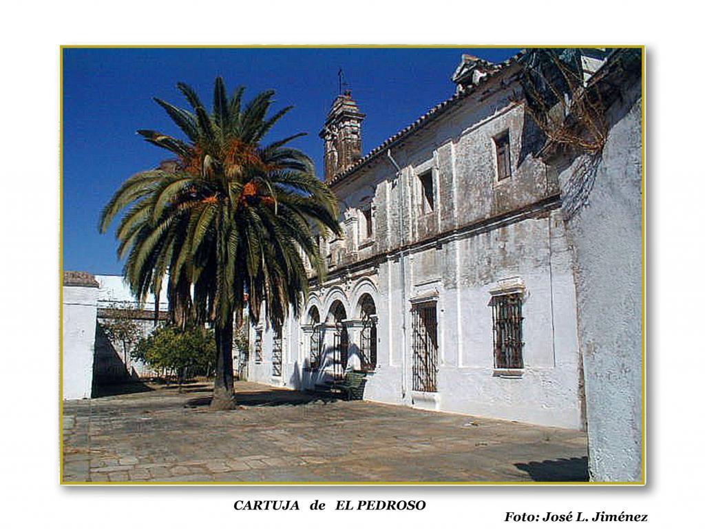 Foto de El Pedroso (Sevilla), España