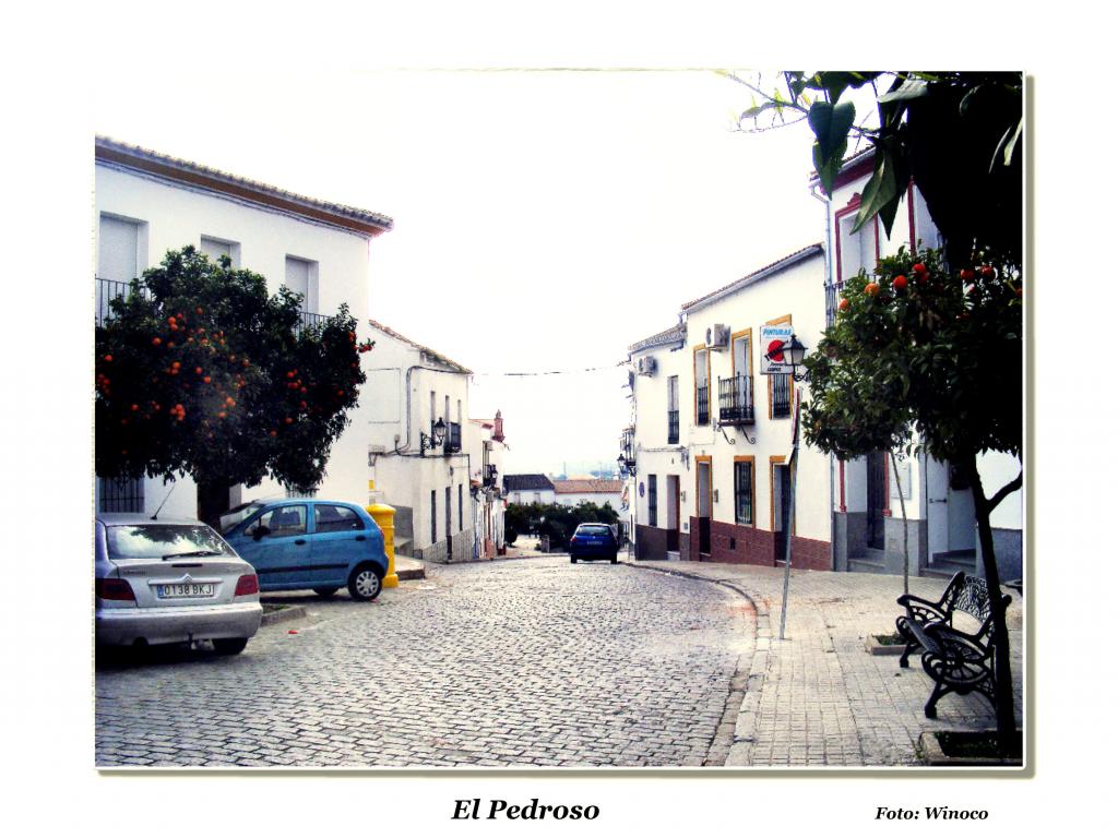 Foto de El Pedroso (Sevilla), España