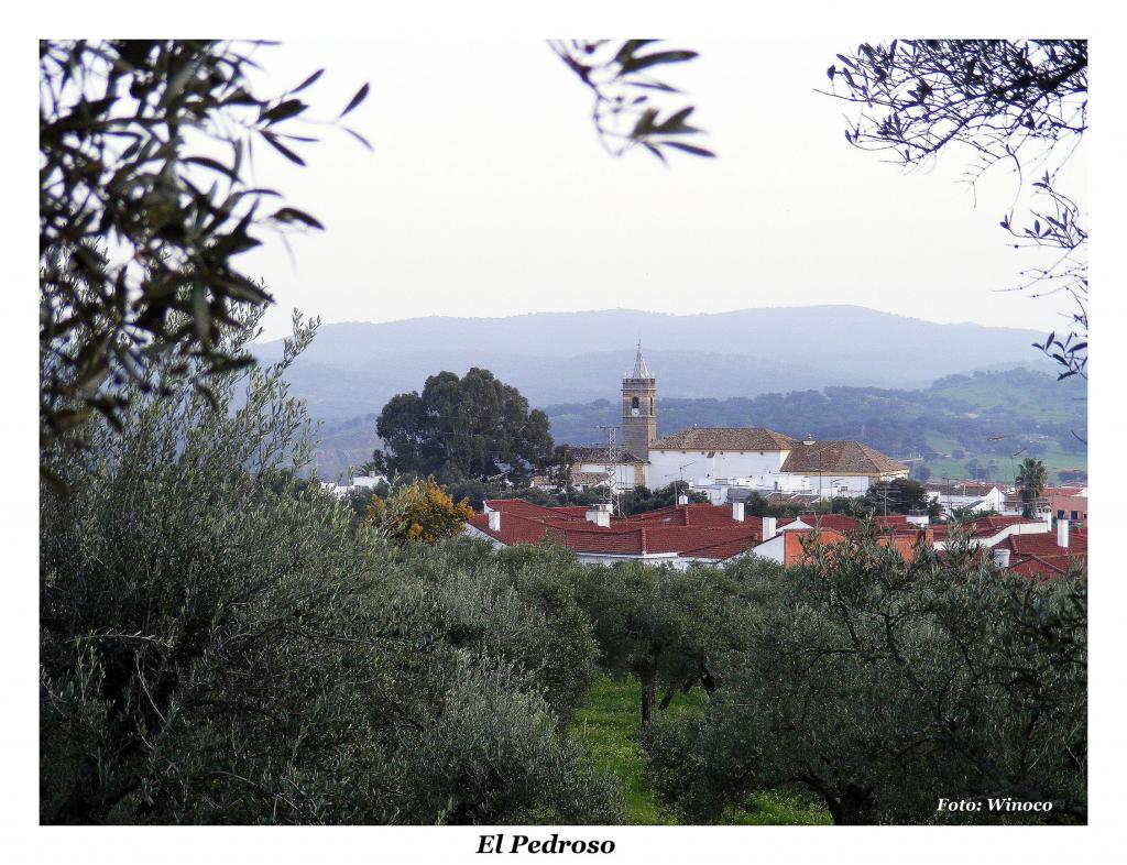 Foto de El Pedroso (Sevilla), España