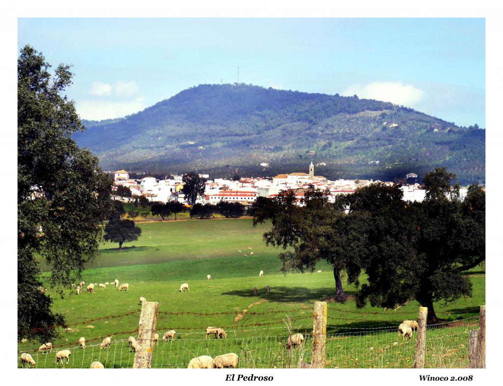 Foto de El Pedroso (Sevilla), España