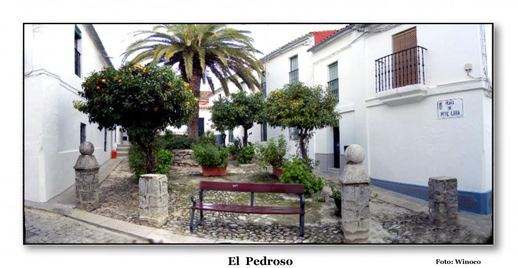 Foto de El Pedroso (Sevilla), España