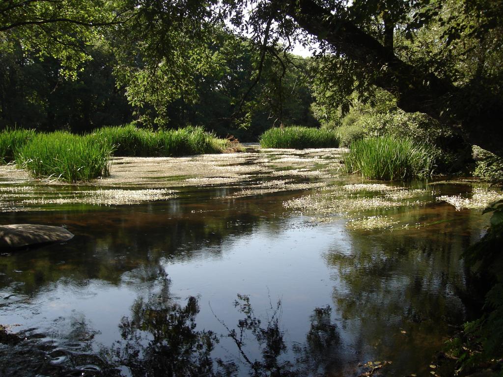 Foto de Outeiro de Eei (Lugo), España