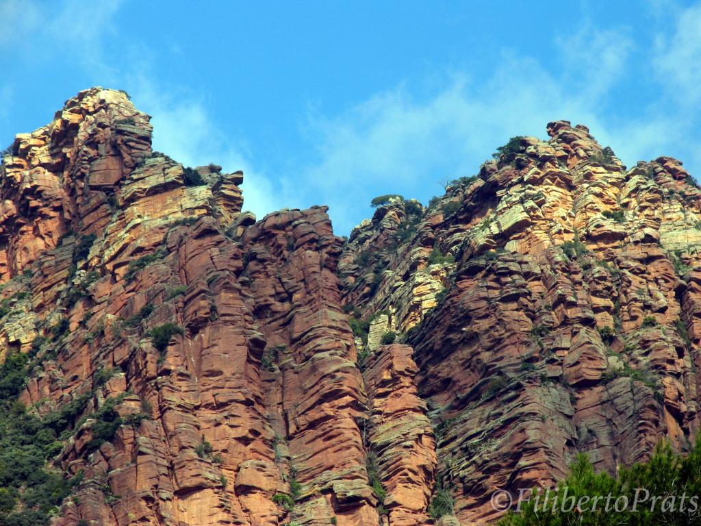 Foto de Albalat dels Tarongers (València), España