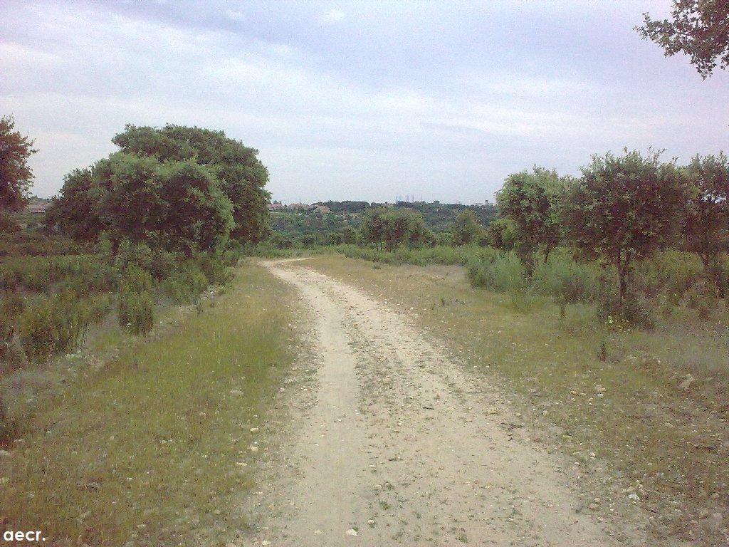 Foto de Boadilla del Monte (Madrid), España
