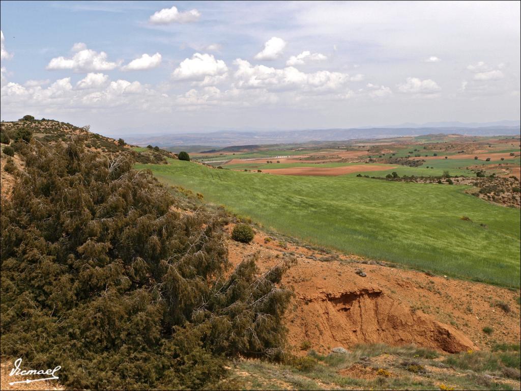Foto de Alconchel de Ariza (Zaragoza), España