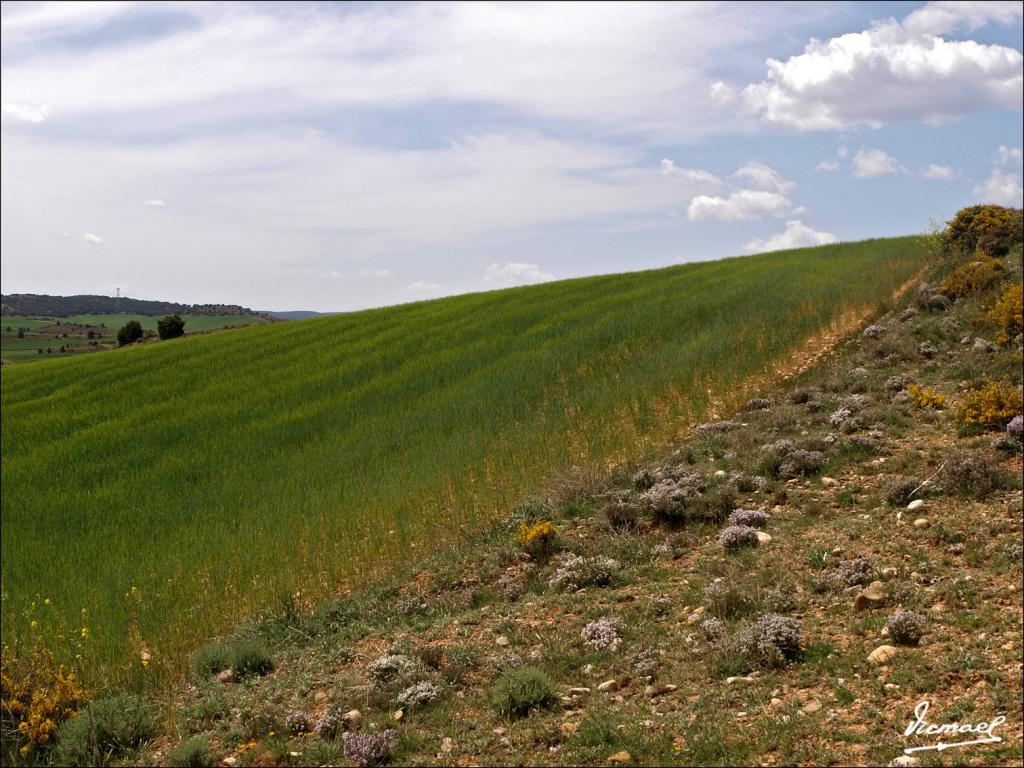 Foto de Alconchel de Ariza (Zaragoza), España