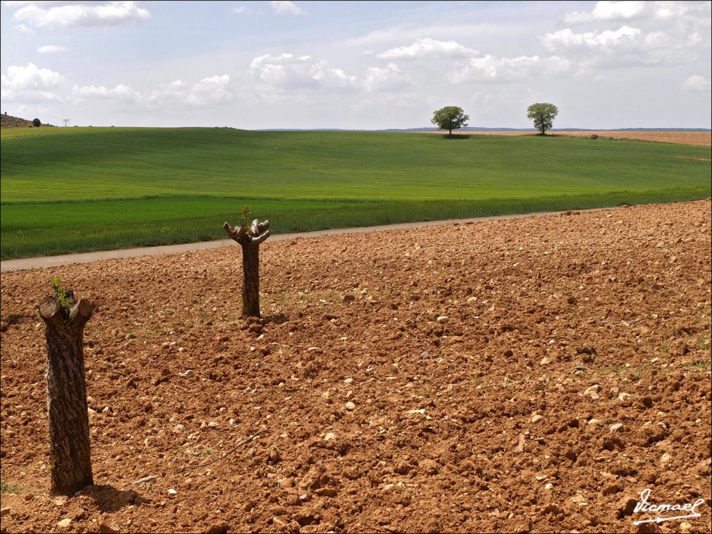 Foto de Alconchel de Ariza (Zaragoza), España