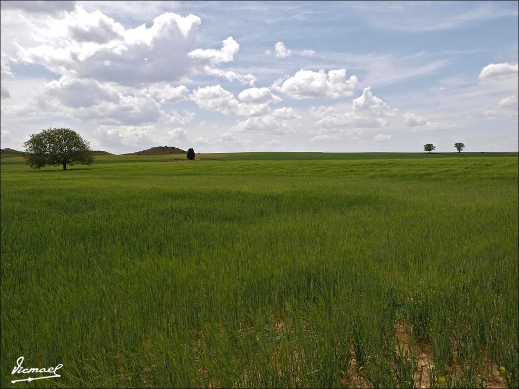 Foto de Alconchel de Ariza (Zaragoza), España