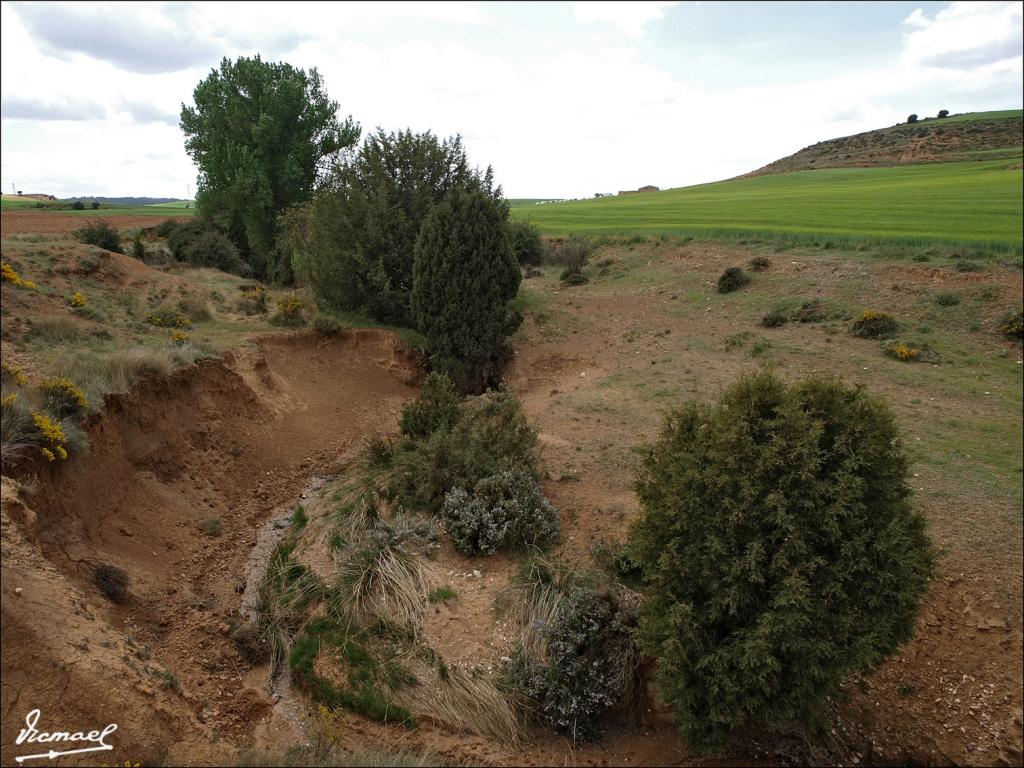 Foto de Alconchel de Ariza (Zaragoza), España