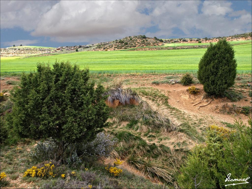 Foto de Alconchel de Ariza (Zaragoza), España