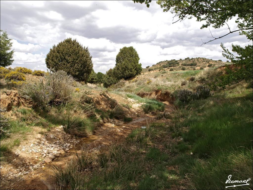 Foto de Alconchel de Ariza (Zaragoza), España