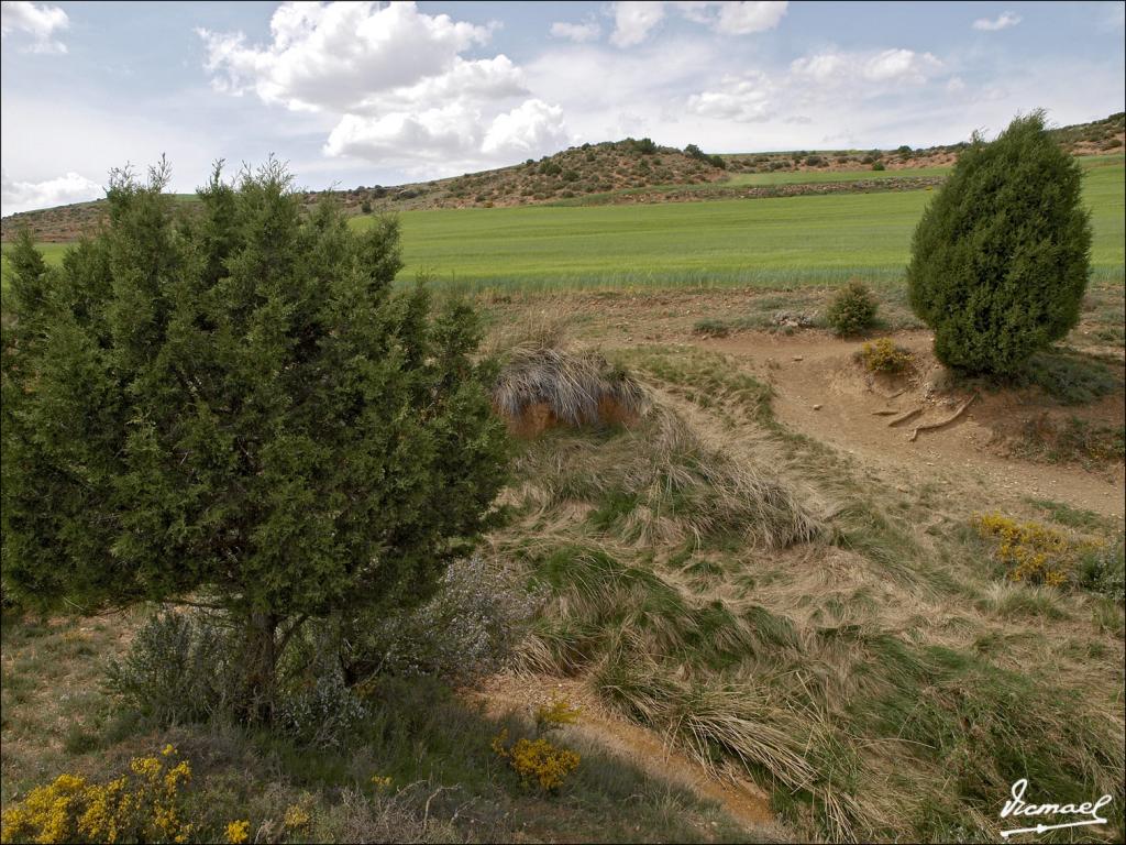 Foto de Alconchel de Ariza (Zaragoza), España