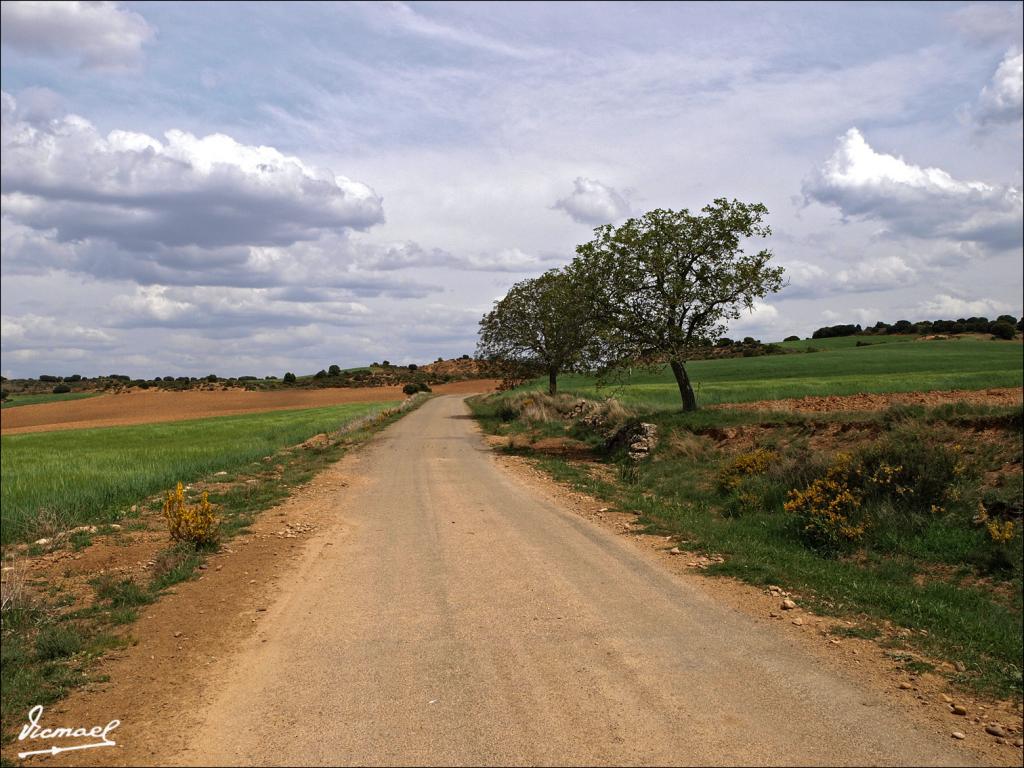 Foto de Alconchel de Ariza (Zaragoza), España