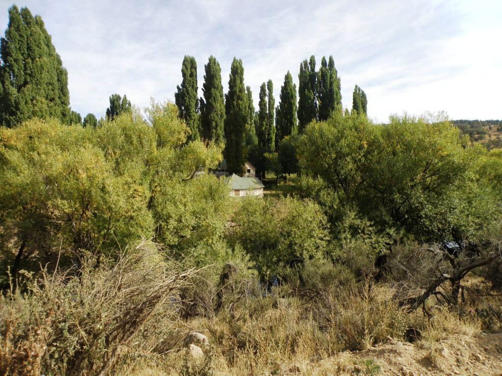 Foto de Aluminé (Neuquén), Argentina