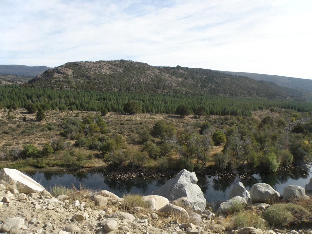 Foto de Aluminé (Neuquén), Argentina