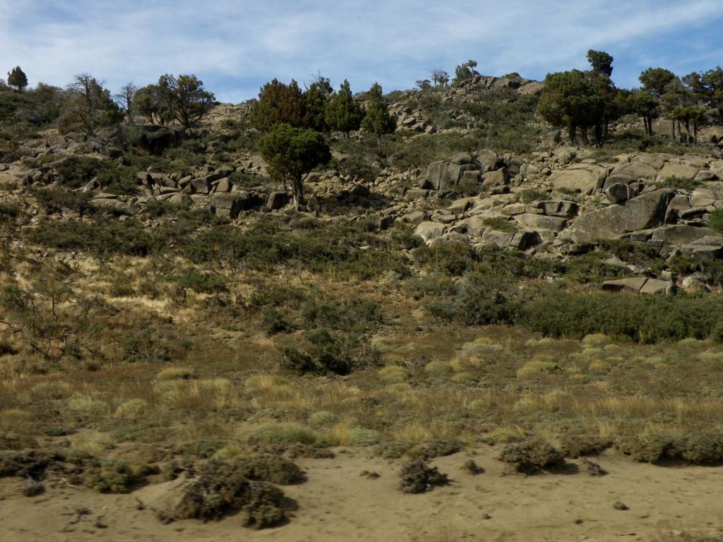 Foto de Aluminé (Neuquén), Argentina