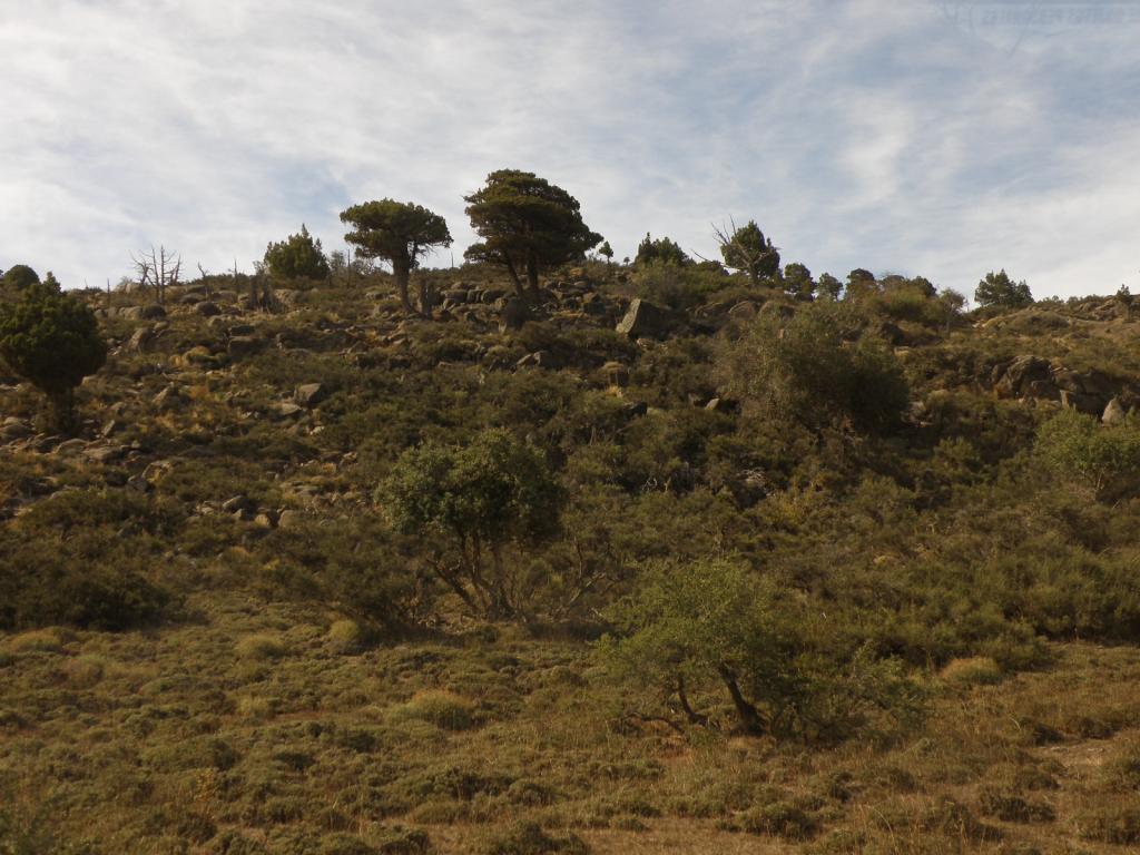 Foto de Aluminé (Neuquén), Argentina