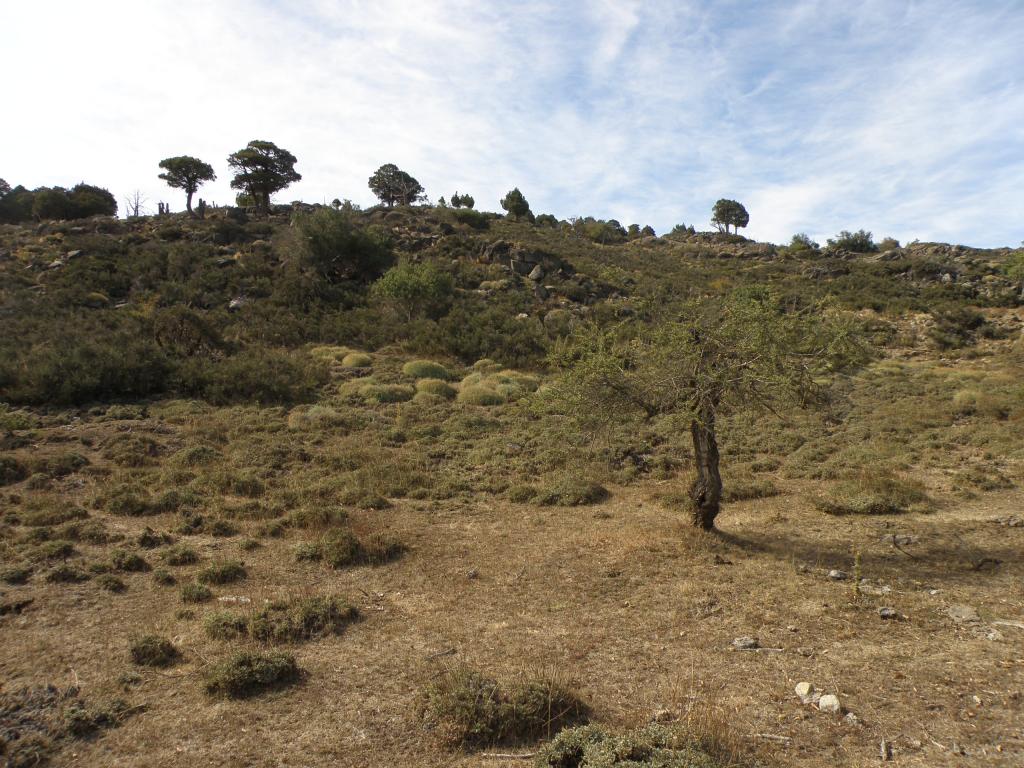 Foto de Aluminé (Neuquén), Argentina