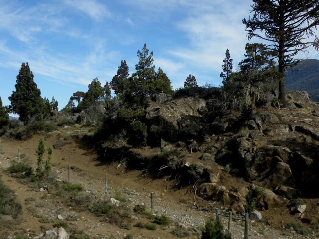 Foto de Aluminé (Neuquén), Argentina