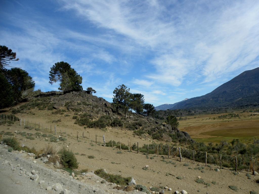 Foto de Aluminé (Neuquén), Argentina