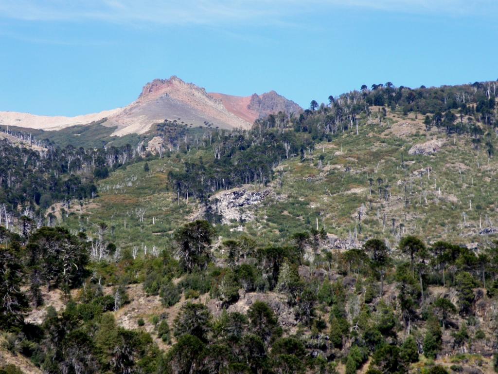 Foto de Aluminé (Neuquén), Argentina