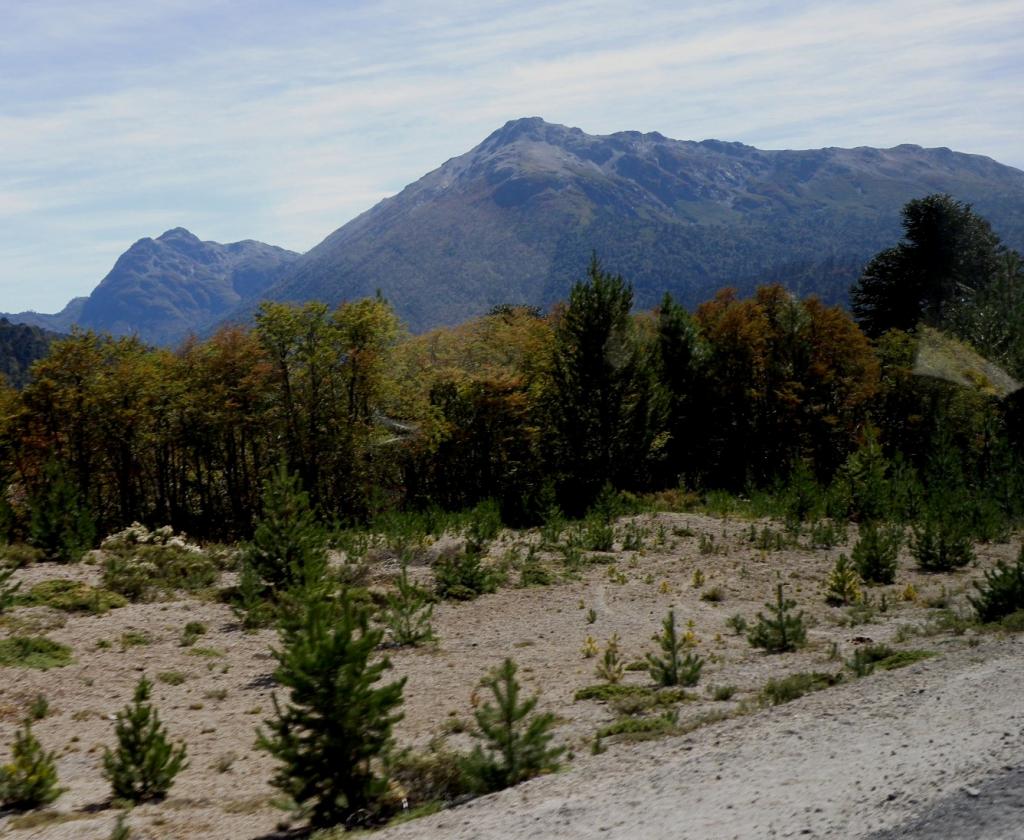 Foto de Aluminé (Neuquén), Argentina