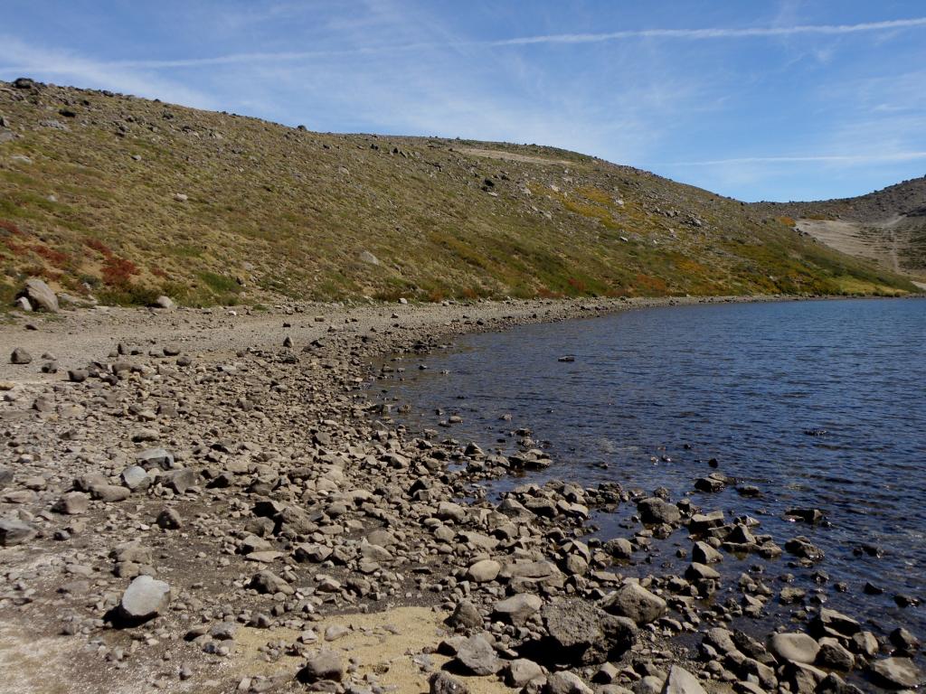 Foto de Villa Pehuenia (Neuquén), Argentina