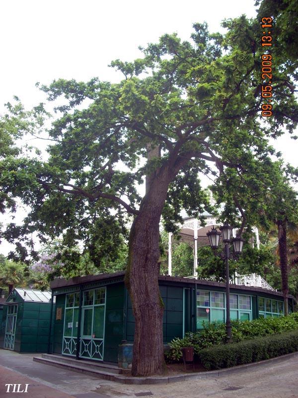 Foto de Oviedo (Asturias), España