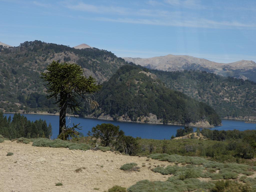 Foto de Villa Pehuenia (Neuquén), Argentina
