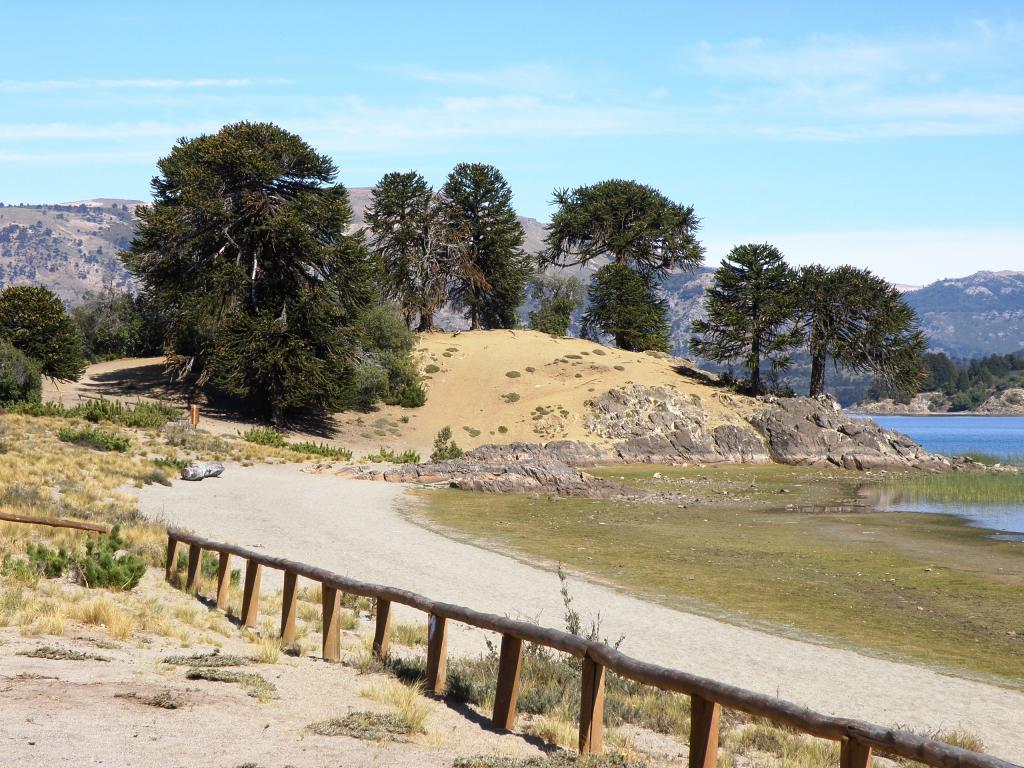 Foto de Villa Pehuenia (Neuquén), Argentina