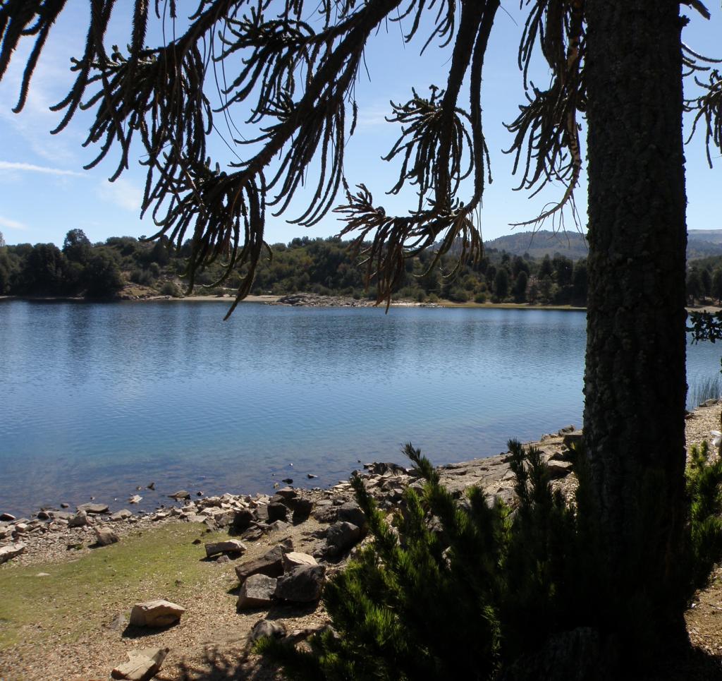 Foto de Villa Pehuenia (Neuquén), Argentina