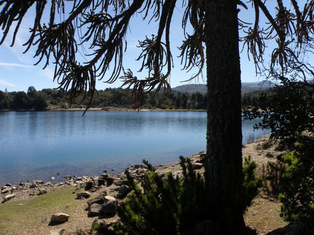 Foto de Villa Pehuenia (Neuquén), Argentina