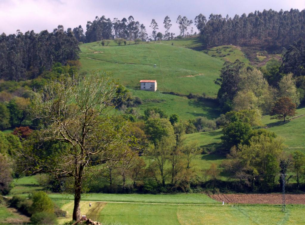 Foto de Arenal de Penagos (Cantabria), España