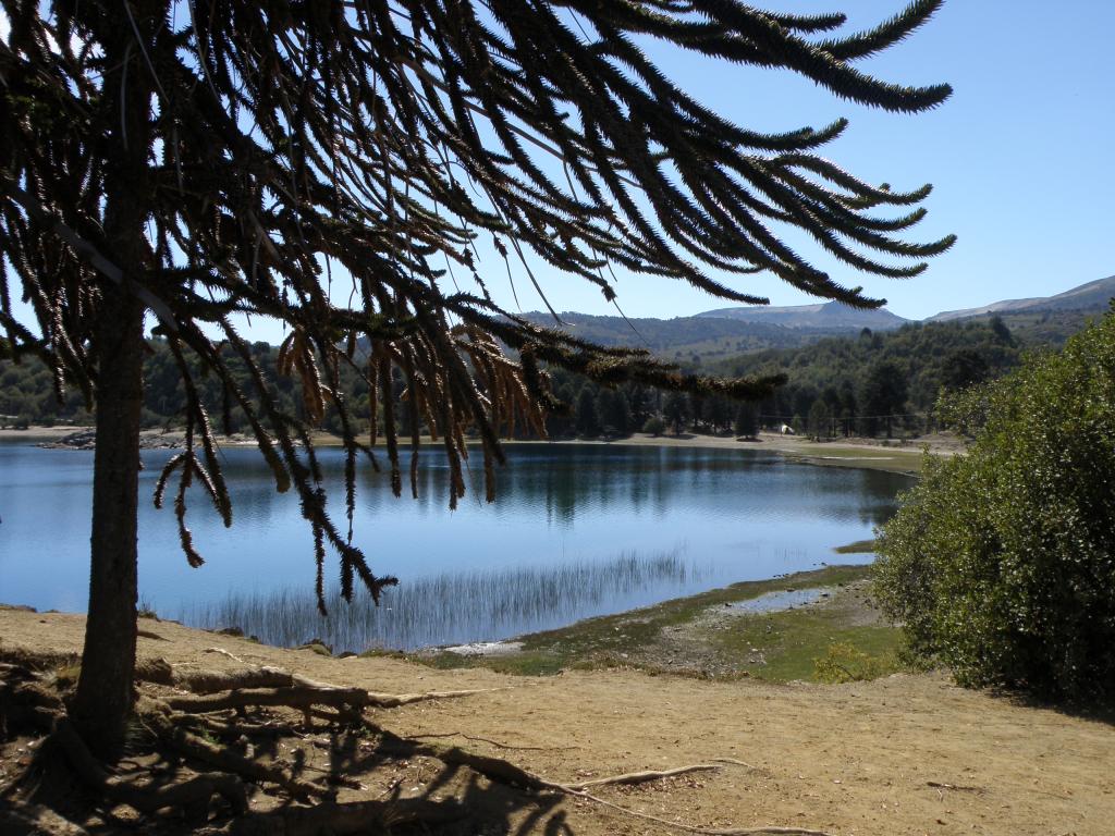 Foto de Villa Pehuenia (Neuquén), Argentina