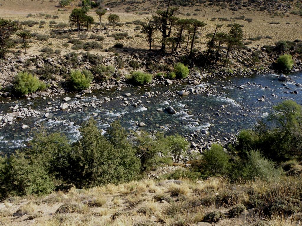 Foto de Villa Pehuenia (Neuquén), Argentina