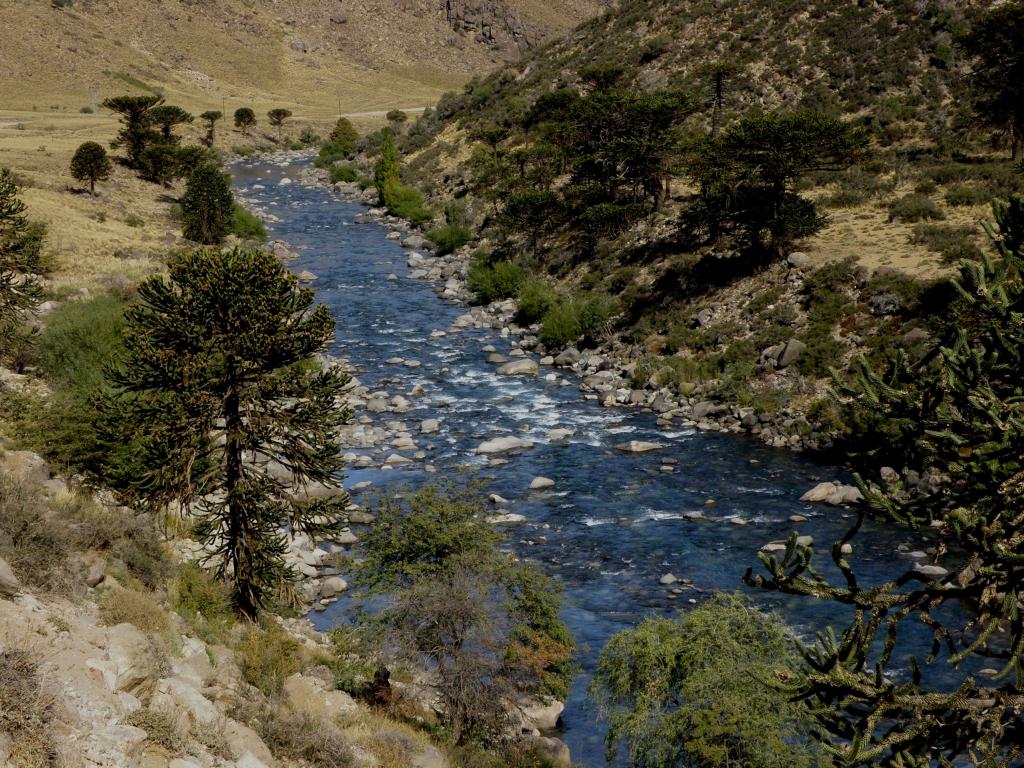 Foto de Villa Pehuenia (Neuquén), Argentina