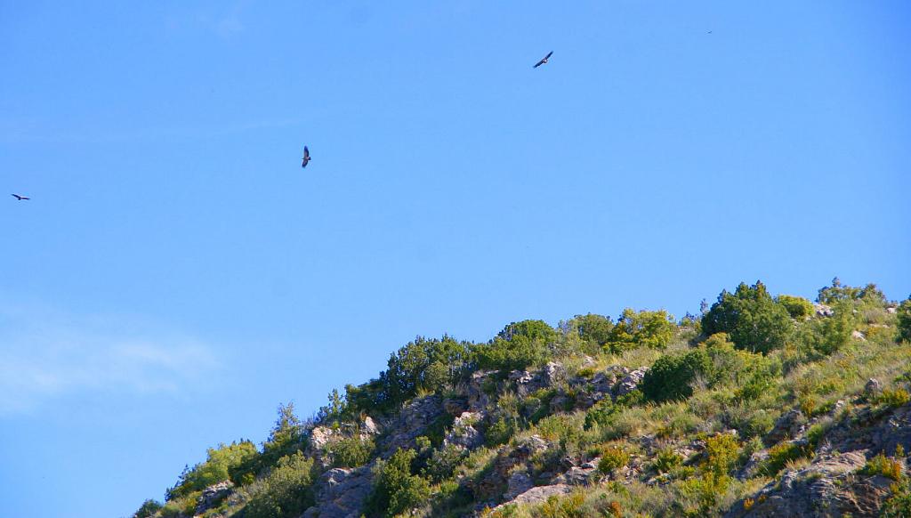 Foto de Alquézar (Huesca), España