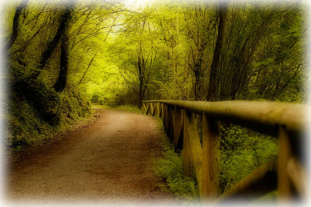 Foto de Proaza (Asturias), España