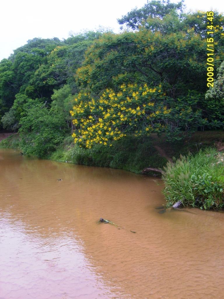 Foto de Itacurubi de la Cordillera, Paraguay